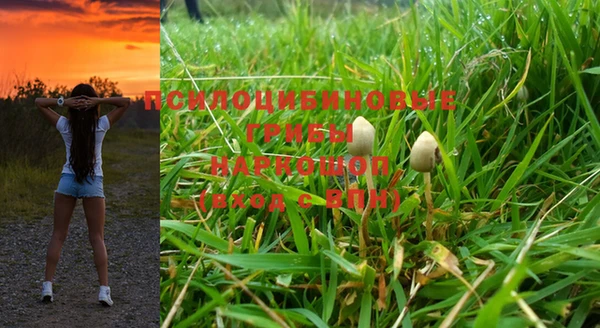 МДМА Вяземский