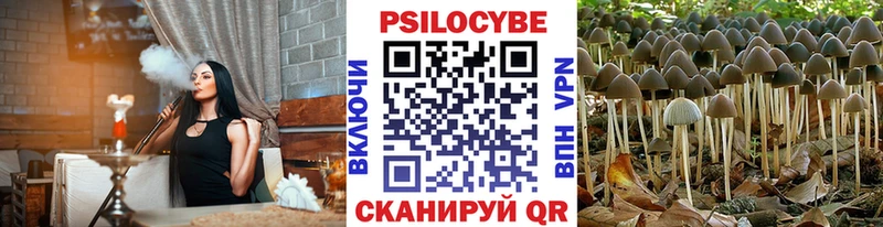 кракен маркетплейс  Пересвет  Галлюциногенные грибы мицелий 